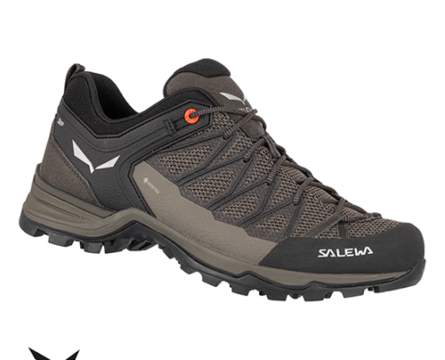 SALEWA-MTN TRAINER LITE GTX-7512 WALLNUT FLUO ORANGE-MARRON