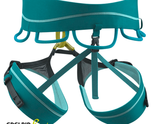 EDELRID-BAUDRIER AURTANA-790 JADE-TURQUOISE