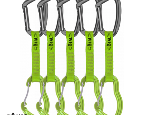 BEAL PACK DE 5 ZEST 11 CM-DEGAINES-VERTES