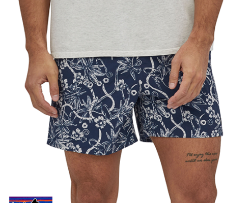 PATAGONIA-M'S BAGGIES SHORT HOMME-DIBE-BLEU-FACE
