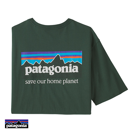 PATAGONIA-M'S P-6 MISSION ORGANIC TEE-SHIRT-TEE-SHIRT HOMME-PIGN PINYON GREEN-VERT