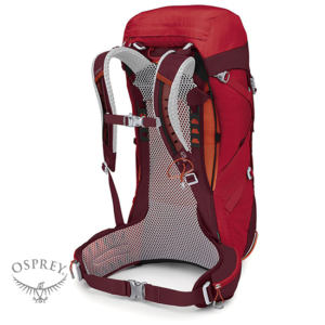 OSPREY-STRATOS 36-SAC À DOS DE RANDONNÉE-HOMME-POINSETTIA RED-ROUGE-DOS