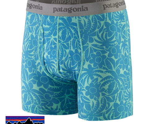 PATAGONIA-32555-M'S ESSENTAIL BOXER HOMME-ABTL ABUNDANCE EARLY TEAL-BLEU