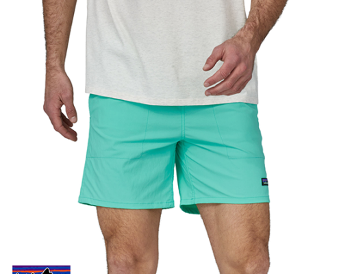 PATAGONIA-58048-M'S BAGGIES LIGHT-SHORT-HOMME-ELYT EARLY TEAL-VERT-FACE