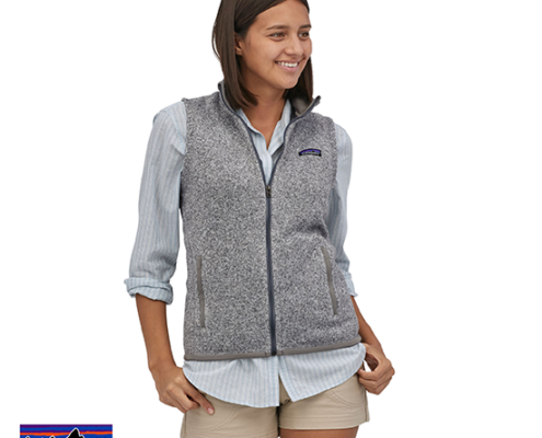 PATAGONIA-25887-W'S BETTER SWEATER VEST-VESTE POLAIRE SANS MANCHE-FEMME-BCW BICH WHITE-GRIS