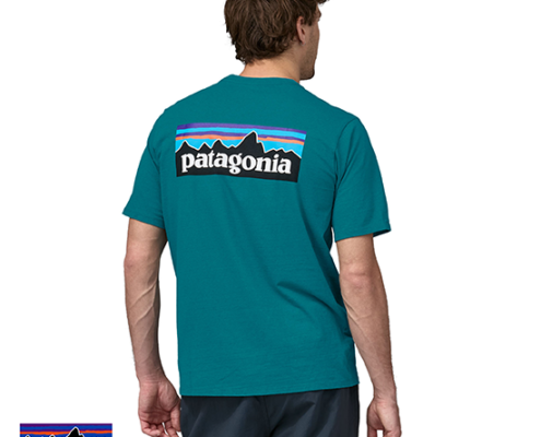 PATAGONIA-38504-M'S P-6 LOGO TEE-SHIRT-TEE SHIRT-HOMME-BLYB BELAY BLUE-BLEU