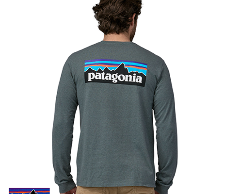 PATAGONIA-38518-M'S LONG SLEEVES P-6 LOGO TEE-SHIRT-TEE SHIRT MANCHES LONGUES-HOMME-NUVG NOUVEAU GREEN-GRIS-DOS