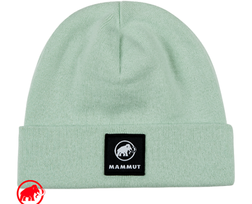 MAMMUT-1191-01090-FEDOZ BEANIE-BONNET-40249 NEO MINT-VERT