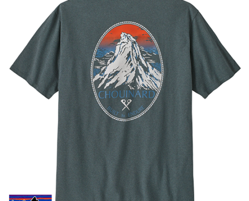 PATAGONIA-37770-M'S CHOUINARD CREST POCKET RESPONSIBILI-TEE-TEE-SHIRT-HOMME-NUVG NOUVEAU GREEN-GRIS-DOS