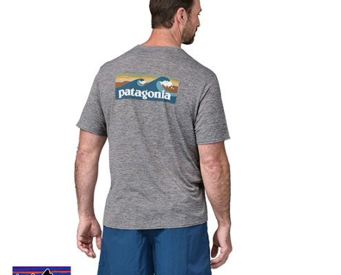 PATAGONIA-45355-M'S CAP COOL DAILY GRAPHIC SHIRT WATER-TEE SHIRT DE RANDONNÉE-HOMME-BLAF DOARDSHIRT LOGO-GRIS-DOS