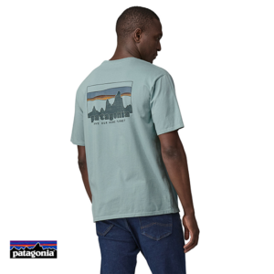 PATAGONIA-37534-M'S 73 SKYLINE ORGANIC TEE-SHIRT-HOMME-TMBL THERMAL BLUE-BLEU-DOS
