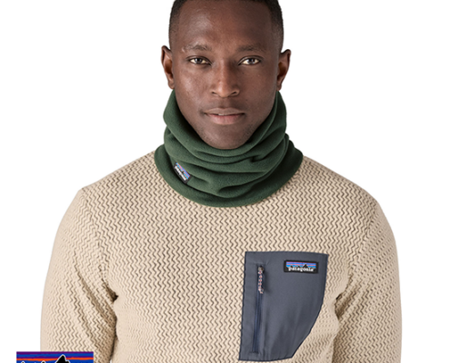 PATAGONIA-28891-MICRO D FLEECE GAITER-TOUR DE COU-TPGN TORREY PINE GREEN-VERT