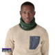 PATAGONIA-28891-MICRO D FLEECE GAITER-TOUR DE COU-TPGN TORREY PINE GREEN-VERT