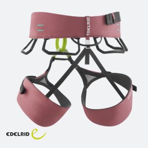 EDELRID-74928-AUTANA II-BAUDRIER-FEMME-RASPBERRY-VIOLET-ARRIERE