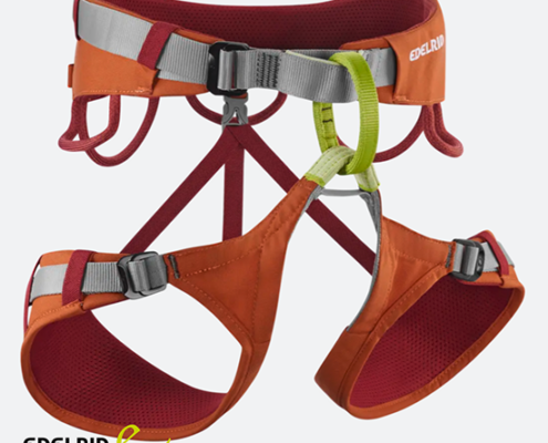 EDELRID-74940-JAY IV-BAUDRIER-ORANGE