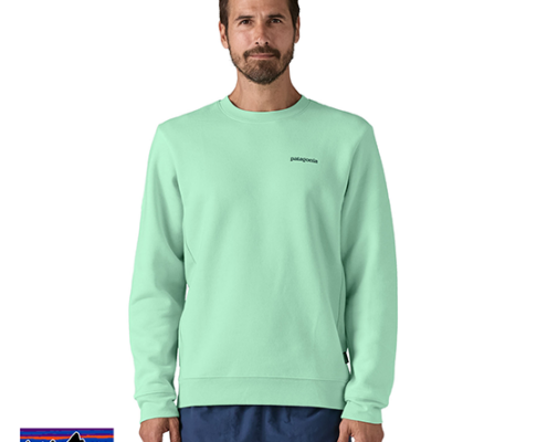 PATAGONIA-39667-FITZ ROY ICON UPRISAL SWEATSHIRT-MIXTE-RNSG RINSED GREEN-VERT