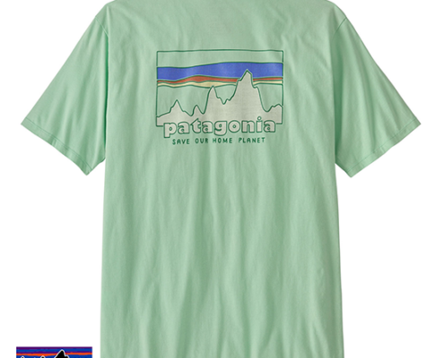 PATAGONIA-37534-M'S 73 SKYLINE ORGANIC TEE-SHIRT-HOMME-RNSG RINSED GREEN-VERT