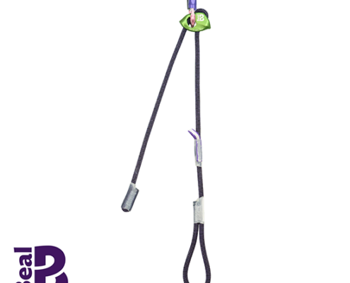 BEAL-BLEXF-EXPRESSO FIT-LONGE DOUBLE REGLABLE-GP MATT GREEN-VERT