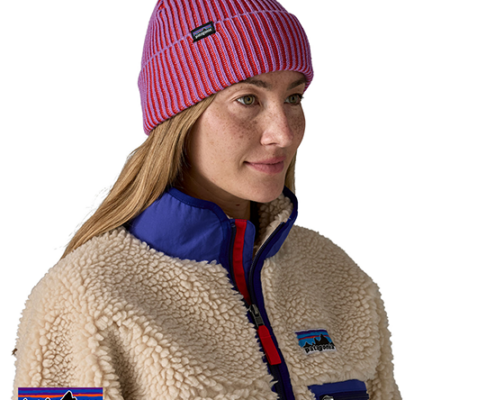 PATAGONIA-29105-FISHERMAN'S ROLLED BEANIE-BONNET-CEBP CONTRAST STRIPE BIRSK PURPLE-ROSE