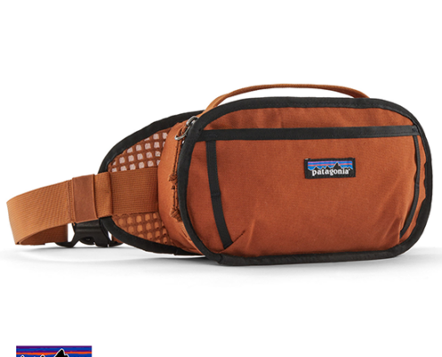 PATAGONIA-48580-FIELDSMITH HIP PACK 5L-BANANE-ROBN ROBIN BROWN-MARRON