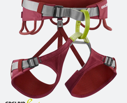 EDELRID-74941-JAYNE IV-BAUDRIER-125 RHUBARBE RED-ROUGE