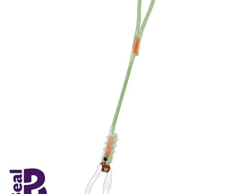 BEAL-BLDC50-LONGE DYNACLIP 50 CM-VERT