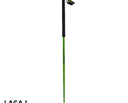 LACAL-FK-07-425-FLASK STICK-BÂTONS DE SKI-VERT