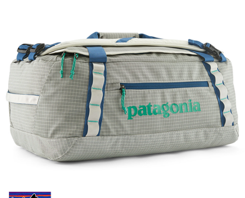 PATAGONIA-49339-BLACK HOLE DUFFEL 40L-SAC DE VOYAGE-BCW BIRCH WHITE-GRIS