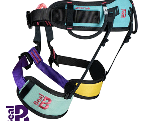 BEAL-BHA.T-AEROTEAM IV MELROSE 89-BAUDRIER