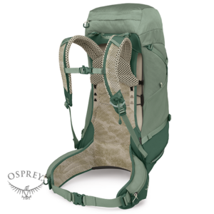 OSPREY-OP3599-STRATOS 44-SAC À DOS DE RANDONNÉE-HOMME-PINE LEAF GREEN-VERT-DOS