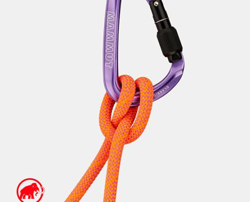 MAMMUT-2040-02470-CLASSIC HMS SCREWGATE CARABINER-MOUSQUETON-15293 SCREW GATE ALPINE CALAMITE-VIOLET-VUE