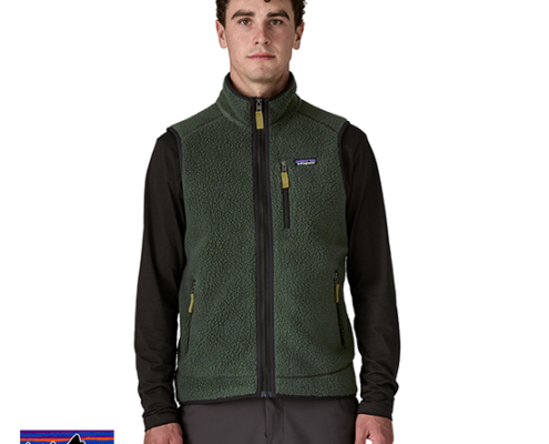 PATAGONIA-22821-M'S RETRO PILE VEST- POLAIRE SANS MANCHE-HOMME-OLGG OLD GROWTH GREEN-VERT