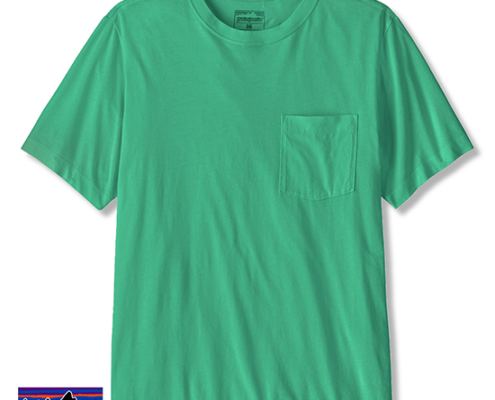 PATAGNIA-37878-M'S DAILY POCKT TEE-TEE SHIRT-HOMME-AQST AQUA STONE-VERT