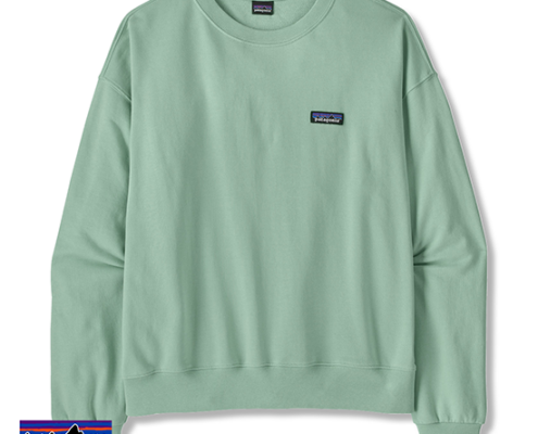 PATAGONIA-42172-W'S DAILY CREW-SWEAT SHIRT-FTHI THIN ICE-VERT