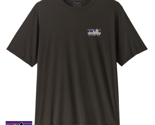 PATAGONIA-45478-M'S CAPILLENE COL DAILY SHIRT-TEE SHIRT DE RANDONNÉE-HOMME-BLK BLACK-NOIR