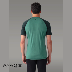 AYAQ-BF-SS-M-BIAFO-TEE SHIRT 100% MERINOS-HOMME-GREEN LAKE-VERT-DOS