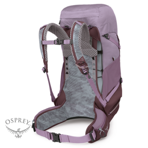 OSPREY-OP3594-SIRRUS 36-SAC À DOS DE RANDONNÉE-FEMME-1131 PURPLE DUSK-VIOLET-DOS